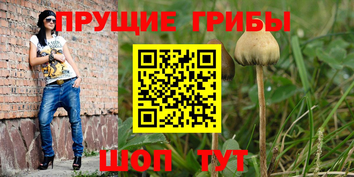 Медногорск  Псилоцибиновые грибы GOLDEN TEACHER  Вход с VPN 