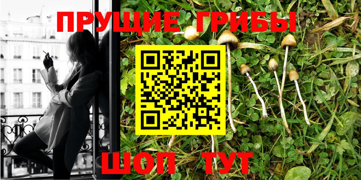 Галлюциногенные грибы MAGIC MUSHROOMS Медногорск